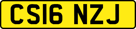 CS16NZJ