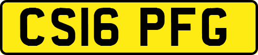 CS16PFG