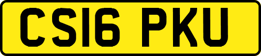 CS16PKU