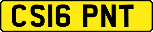 CS16PNT