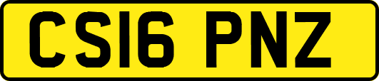 CS16PNZ