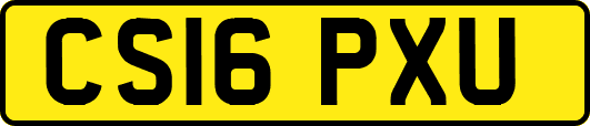 CS16PXU