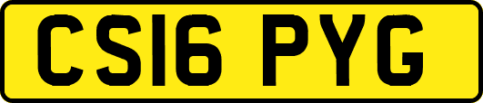 CS16PYG
