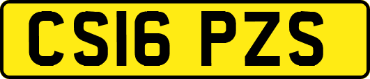 CS16PZS