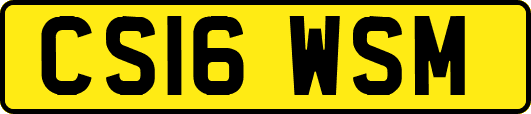 CS16WSM