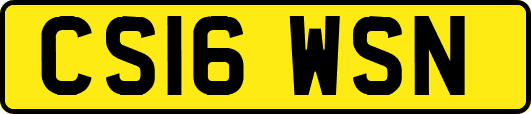 CS16WSN