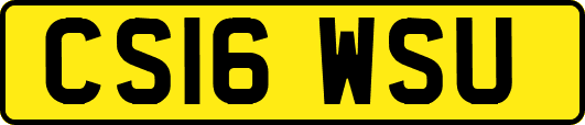 CS16WSU