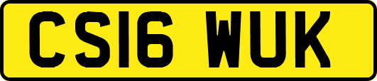 CS16WUK