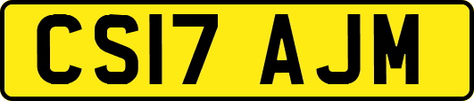CS17AJM