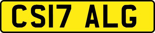 CS17ALG
