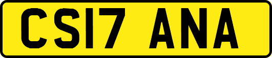 CS17ANA