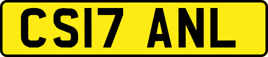 CS17ANL