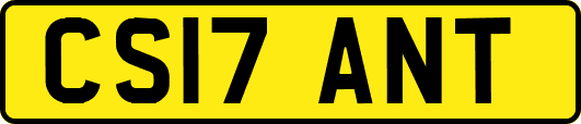 CS17ANT