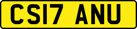 CS17ANU