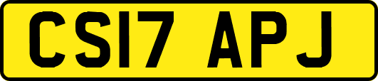 CS17APJ