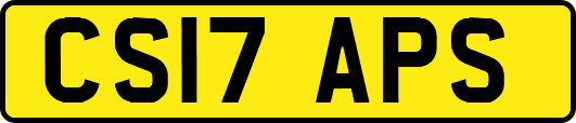 CS17APS