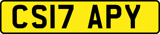 CS17APY
