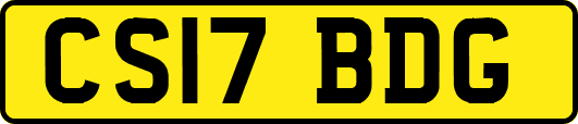 CS17BDG