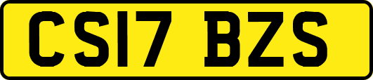 CS17BZS