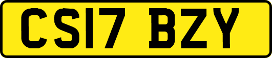 CS17BZY