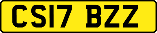 CS17BZZ
