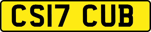 CS17CUB