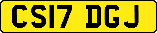 CS17DGJ