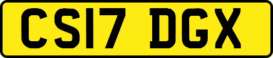 CS17DGX