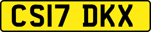 CS17DKX