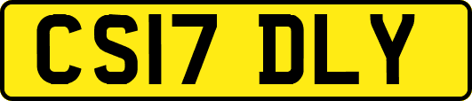 CS17DLY