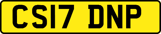 CS17DNP