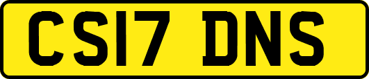 CS17DNS
