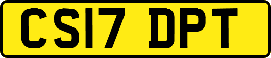 CS17DPT