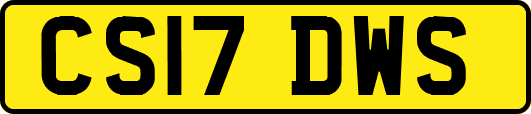 CS17DWS