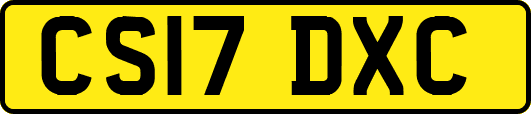 CS17DXC