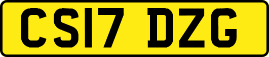 CS17DZG