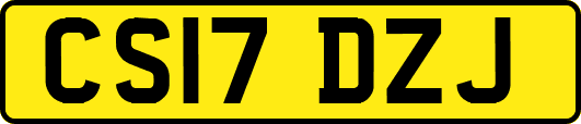 CS17DZJ