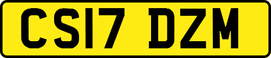 CS17DZM