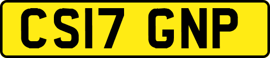 CS17GNP