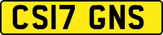 CS17GNS