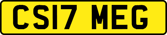 CS17MEG