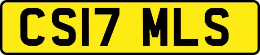 CS17MLS