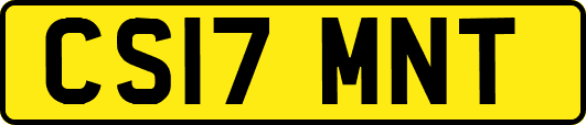 CS17MNT