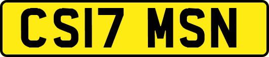 CS17MSN