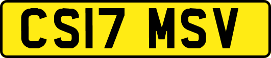 CS17MSV