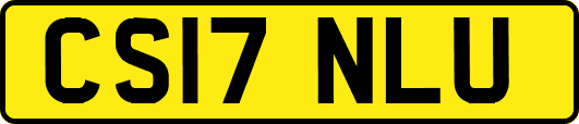 CS17NLU
