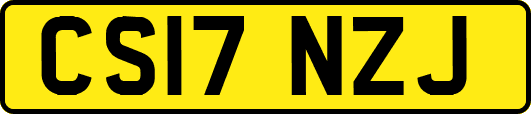 CS17NZJ