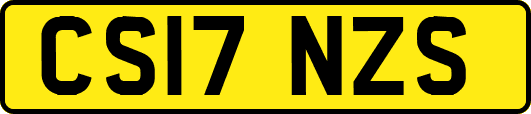 CS17NZS