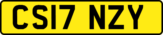 CS17NZY