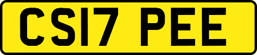 CS17PEE
